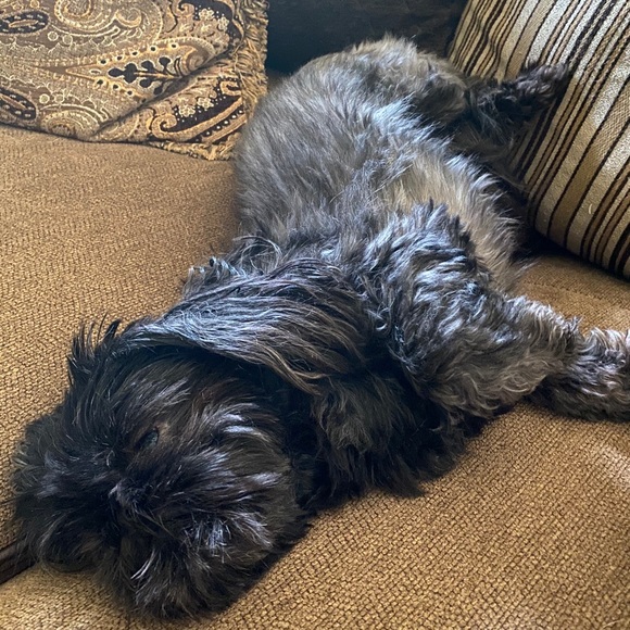 Meet your Posher - Picture 7 of 11